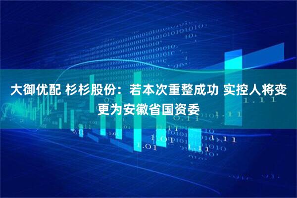 大御优配 杉杉股份：若本次重整成功 实控人将变更为安徽省国资委