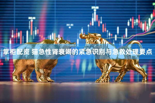 掌柜配资 猫急性肾衰竭的紧急识别与急救处理要点