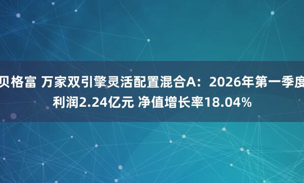 贝格富 万家双引擎灵活配置混合A：2026年第一季度利润2.24亿元 净值增长率18.04%